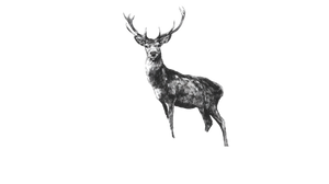 Deer On Path Vinyl Car Decal Sticker – Waterproof & UV-Resistant 2.72"