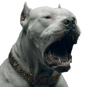 Scary Barking Pitbull Vinyl Car Decal Sticker – Waterproof & UV-Resistant 6.826666666666667"