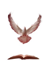 Holy Spirit Dove V23 Vinyl Car Decal Sticker – Waterproof & UV-Resistant 8.746666666666666"