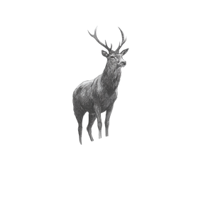 Deer On Cliff Vinyl Car Decal Sticker – Waterproof & UV-Resistant 6.826666666666667"