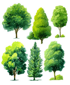 Green Trees Clipart Vinyl Car Decal Sticker – Waterproof & UV-Resistant 4.0"