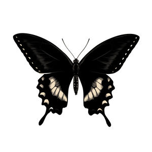 Swallowtail Butterfly Silhouette Vinyl Car Decal Sticker – Waterproof & UV-Resistant 3.4133333333333336"