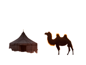 Camel Silhouette Sunset Vinyl Car Decal Sticker – Waterproof & UV-Resistant 3.0933333333333333"