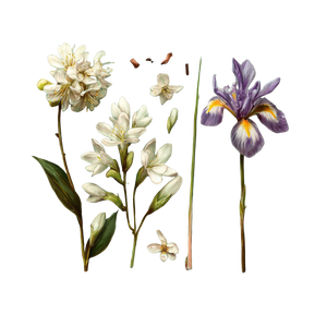 Botanical Watercolor Flatlay Vinyl Car Decal Sticker – Waterproof & UV-Resistant 6.826666666666667"