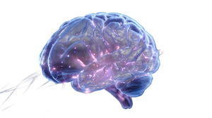Glowing Brain Model Vinyl Car Decal Sticker – Waterproof & UV-Resistant 5.4