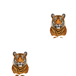 Bengal Tiger Pattern Vinyl Car Decal Sticker – Waterproof & UV-Resistant 6.826666666666667"