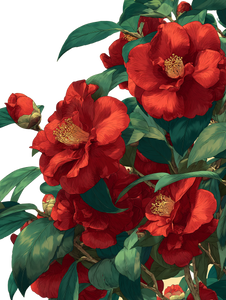 Camellia Flowers Bloom Vinyl Car Decal Sticker – Waterproof & UV-Resistant 8.213333333333333"
