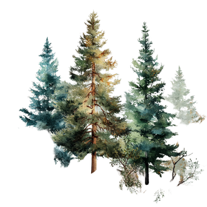Watercolor Pine Trees Vinyl Car Decal Sticker – Waterproof & UV-Resistant 3.4133333333333336"