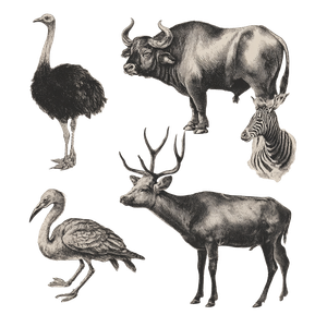 Vintage Animal Silhouettes Vinyl Car Decal Sticker – Waterproof & UV-Resistant 6.826666666666667"