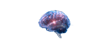 Digital Brain Hologram V2 Vinyl Car Decal Sticker – Waterproof & UV-Resistant 2.72"