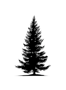 Pine Tree Silhouette V7 Vinyl Car Decal Sticker – Waterproof & UV-Resistant 4.266666666666667"
