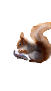 Squirrel With Electronics Vinyl Car Decal Sticker – Waterproof & UV-Resistant 9.706666666666667"