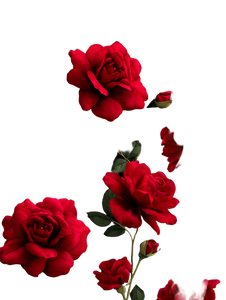 3D Red Roses Vinyl Car Decal Sticker – Waterproof & UV-Resistant 8.213333333333333" 3D Red Roses Vinyl Car Decal Sticker – Waterproof & UV-Resistant 8.213333333333333"