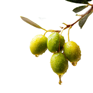 Olives With Oil Vinyl Car Decal Sticker – Waterproof & UV-Resistant 6.826666666666667"