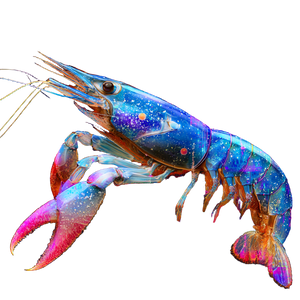 Digital Shrimp Fusion Vinyl Car Decal Sticker – Waterproof & UV-Resistant 6.826666666666667"