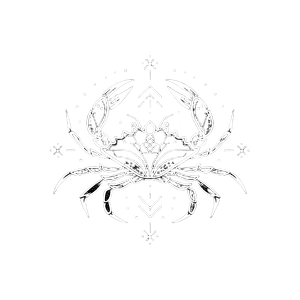 Mystical Crab Logo Vinyl Car Decal Sticker – Waterproof & UV-Resistant 6.826666666666667"