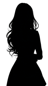 Princess Silhouette V2 Vinyl Car Decal Sticker – Waterproof & UV-Resistant 9.706666666666667"