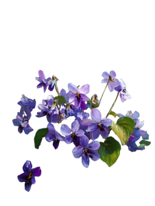 Sci-Fi Violet Baguette Vinyl Car Decal Sticker – Waterproof & UV-Resistant 4.1066666666666665"