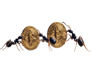 Ants Carrying Bitcoin Vinyl Car Decal Sticker – Waterproof & UV-Resistant 2.986666666666667"