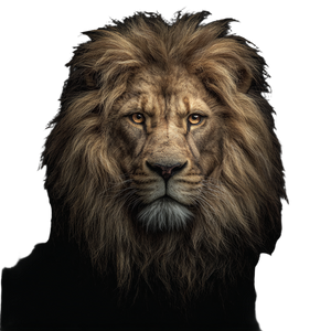 Fierce Lion Head V4 Vinyl Car Decal Sticker – Waterproof & UV-Resistant 3.4133333333333336"