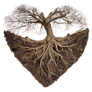 Heart-Shaped Roots Vinyl Car Decal Sticker – Waterproof & UV-Resistant 3.4133333333333336"