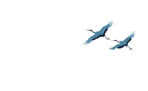 Cranes Flying Sunset Vinyl Car Decal Sticker – Waterproof & UV-Resistant 2.8