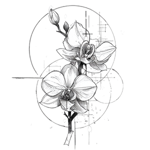 Orchid Tattoo Sketch Vinyl Car Decal Sticker – Waterproof & UV-Resistant 3.4133333333333336"