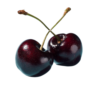 Fresh Black Cherries Vinyl Car Decal Sticker – Waterproof & UV-Resistant 3.4133333333333336"
