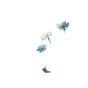 Fish In Chamomile Waters Vinyl Car Decal Sticker – Waterproof & UV-Resistant 3.4133333333333336"