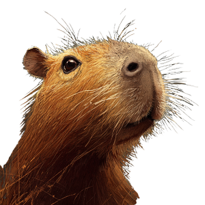 Capybara V10 Vinyl Car Decal Sticker – Waterproof & UV-Resistant 6.826666666666667"
