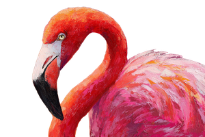 Stylistic Flamingo Portrait Vinyl Car Decal Sticker – Waterproof & UV-Resistant 2.986666666666667"