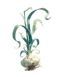 Stylish Garlic Plant Vinyl Car Decal Sticker – Waterproof & UV-Resistant 4.1066666666666665" Stylish Garlic Plant Vinyl Car Decal Sticker – Waterproof & UV-Resistant 4.1066666666666665"