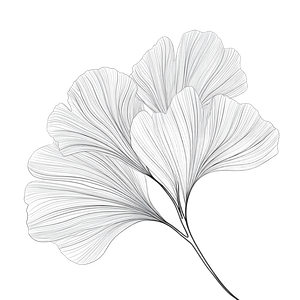 Kawaii Leaf Vinyl Car Decal Sticker – Waterproof & UV-Resistant 3.4133333333333336"