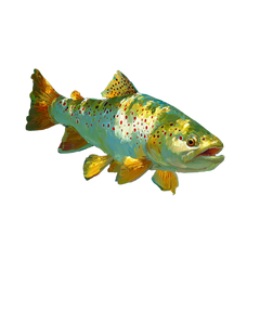 Brown Trout Painting Vinyl Car Decal Sticker – Waterproof & UV-Resistant 4.0"