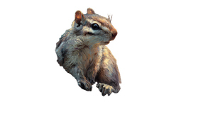 Sequoia Chipmunk Branches Vinyl Car Decal Sticker – Waterproof & UV-Resistant 5.4
