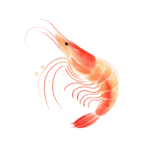Cartoon Shrimp Illustration Vinyl Car Decal Sticker – Waterproof & UV-Resistant 3.4133333333333336" Cartoon Shrimp Illustration Vinyl Car Decal Sticker – Waterproof & UV-Resistant 3.4133333333333336"