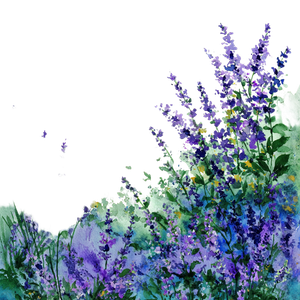 Purple Lavender Watercolour Vinyl Car Decal Sticker – Waterproof & UV-Resistant 6.826666666666667"
