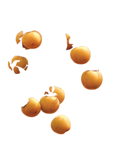 Persimmon Tree Branch Vinyl Car Decal Sticker – Waterproof & UV-Resistant 8.213333333333333"
