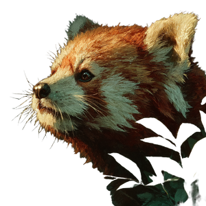 Red Panda V7 Vinyl Car Decal Sticker – Waterproof & UV-Resistant 6.826666666666667"