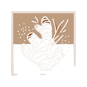 Ginger Root Icon V4 Vinyl Car Decal Sticker – Waterproof & UV-Resistant 3.4133333333333336"