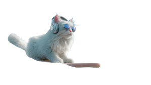 Dj Cat Surfing V2 Vinyl Car Decal Sticker – Waterproof & UV-Resistant 5.4