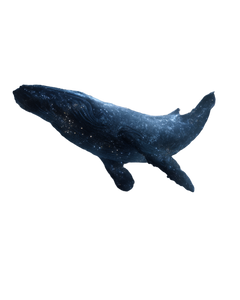 Dark Fantasy Whale Vinyl Car Decal Sticker – Waterproof & UV-Resistant 8.0"