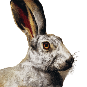 Abstract Art Rabbit Vinyl Car Decal Sticker – Waterproof & UV-Resistant 3.4133333333333336"