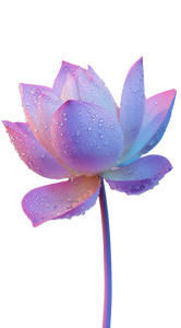 Lotus With Dewdrops Vinyl Car Decal Sticker – Waterproof & UV-Resistant 4.906666666666666"