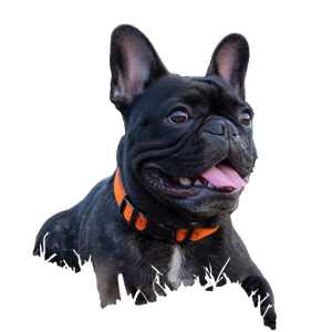 Happy French Bulldog V27 Vinyl Car Decal Sticker – Waterproof & UV-Resistant 3.4133333333333336"