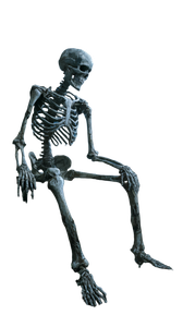 Happy Skeleton Graveyard Vinyl Car Decal Sticker – Waterproof & UV-Resistant 9.706666666666667"