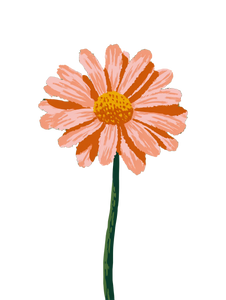 Matisse Pink Daisy Vinyl Car Decal Sticker – Waterproof & UV-Resistant 8.213333333333333"