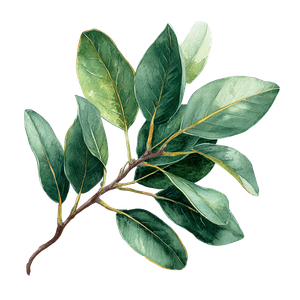 Banyan Leaf Branch Vinyl Car Decal Sticker – Waterproof & UV-Resistant 3.4133333333333336"
