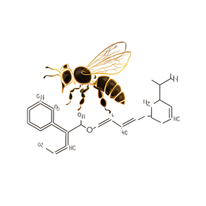 Honey Bee Graphic Vinyl Car Decal Sticker – Waterproof & UV-Resistant 3.4133333333333336"