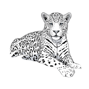 Cartoon Jaguar Outline Vinyl Car Decal Sticker – Waterproof & UV-Resistant 6.826666666666667"